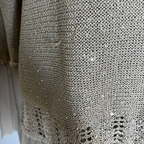 Sequin Beige Chiffon Sweater, size small - Picture 5 of 5